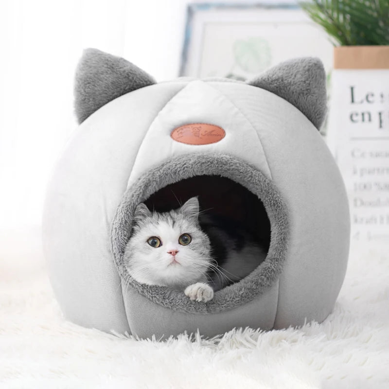 Pet house