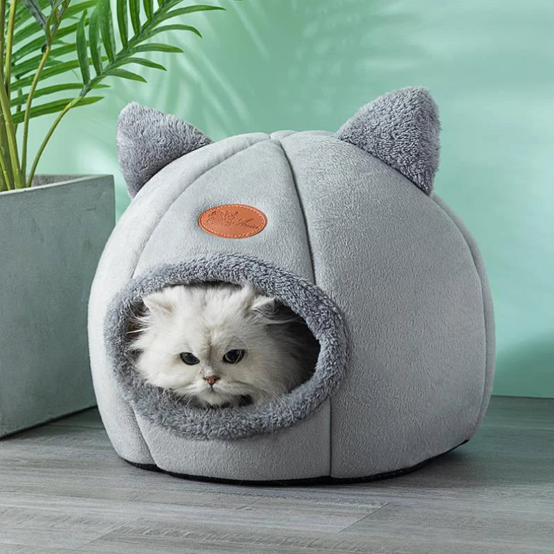 Pet house