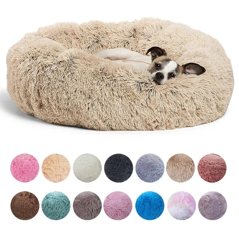 Pet house