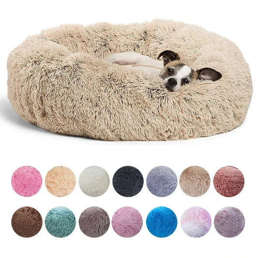 Pet house