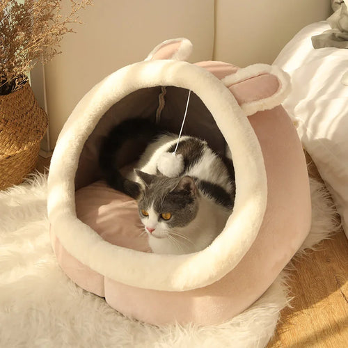 Pet house